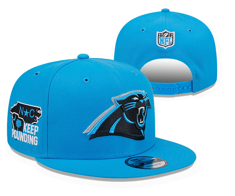 2024 NFL Carolina Panthers Hat TX20241105